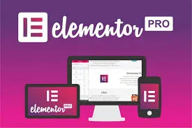 Elementor Pro vkv